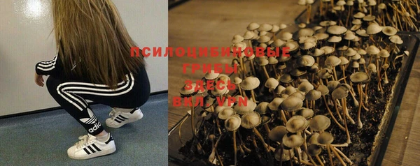 шишки Зеленокумск