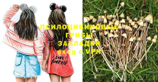 шишки Зеленокумск