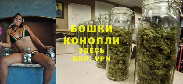 шишки Зеленокумск