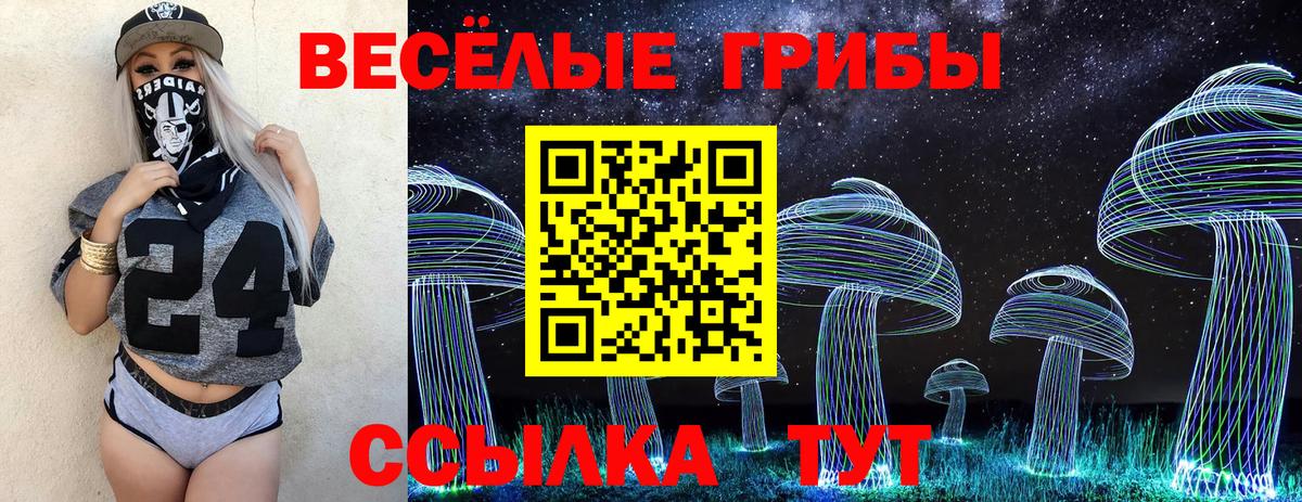 Сегежа  Галлюциногенные грибы MAGIC MUSHROOMS  Вход с VPN 