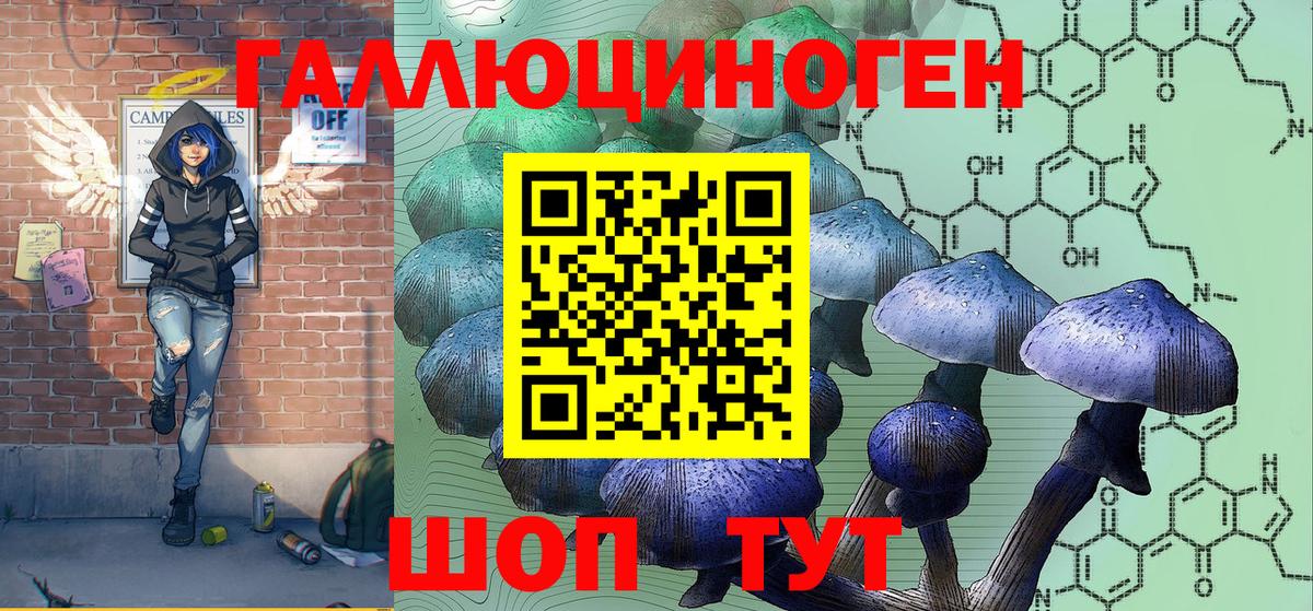 Псилоцибиновые грибы ЛСД Сегежа
